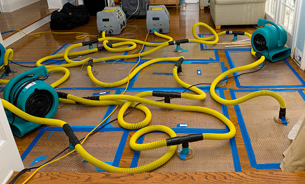 Professional Structural Drying And Dehumidification technician working in Woodland Hills, UT